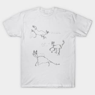 Mentally deranged cats T-Shirt